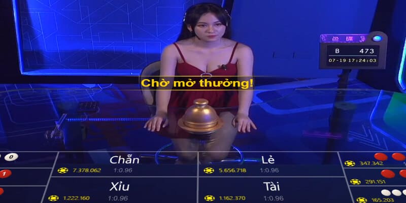 Luật tham gia trò chơi dễ hiểu cho người mới