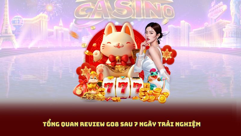 Tổng Quan Review Go8 Sau 7 Ngày Trải Nghiệm